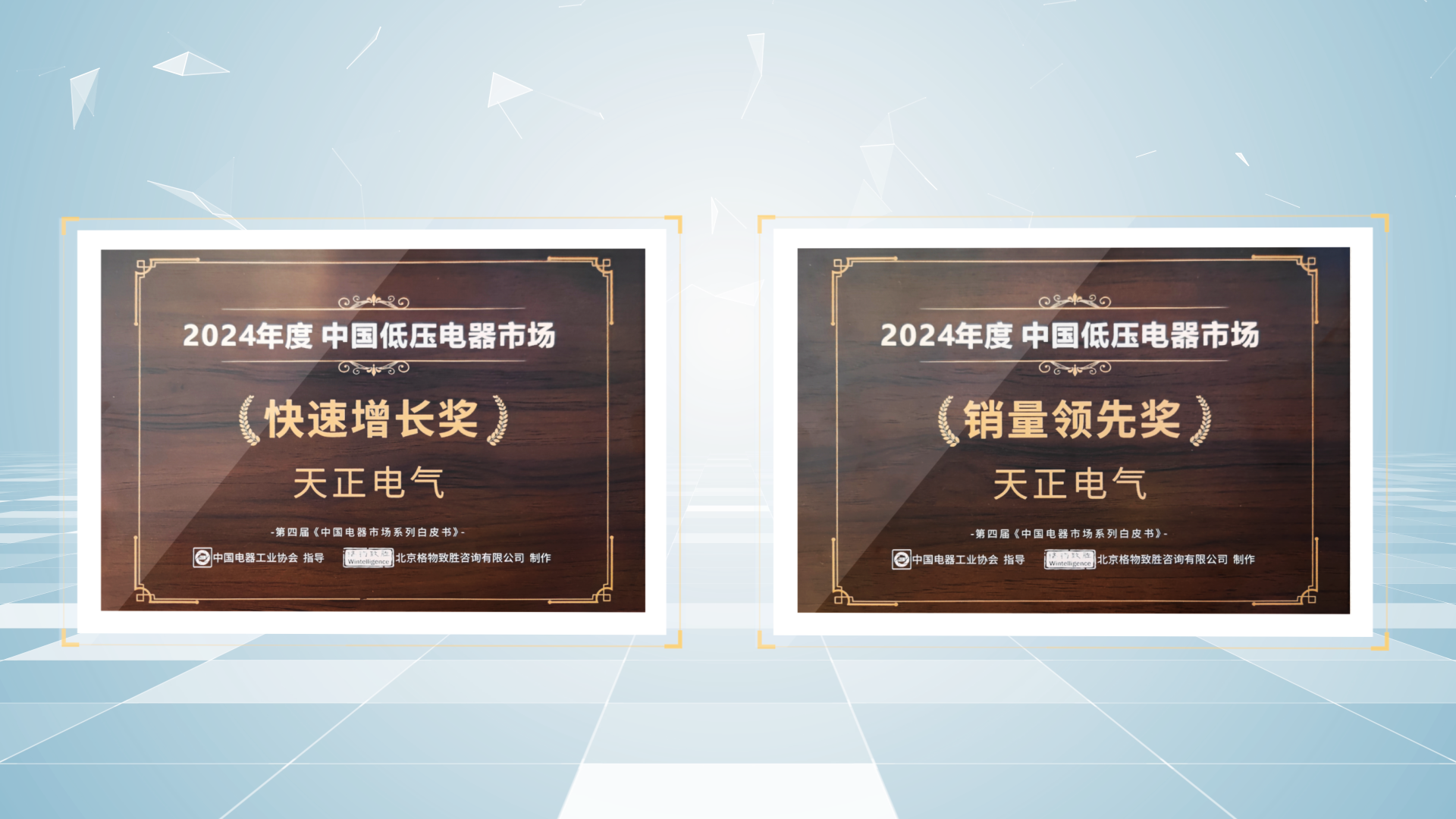 销量领先、快速增长丨雷火电竞荣膺2项行业年度大奖